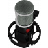 Behringer STUDIO T-47 condenser microphone