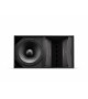 BOSE ArenaMatch AM20 loudspeaker 100x20
